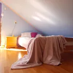 Apartament Intol Z Widokiem Na Sniezke